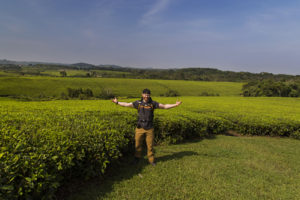 Kalinzu Forest Reserve in Uganda