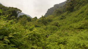 Kyambura Gorge Uganda