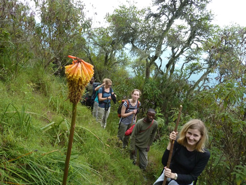 Hiking Mount Muhabura in Uganda