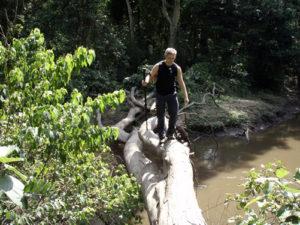 Nature Walks in Kyambura Gorge