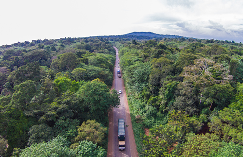 Mabira Forest Ecotourism Centre Tour