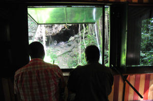 Python cave in Maramagambo forest