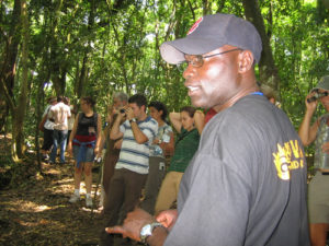 Visit Maramagambo forest