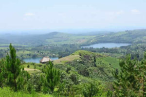 Visiting Bigodi Wetlands Sanctuary