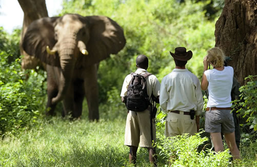 6 Days Murchison falls National Park Safari