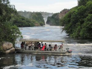 A safari in Budongo forest and Murchison Falls