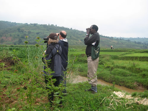 Birding in Rwanda – Nyungwe, Lake Kivu and Volcanoes National Park