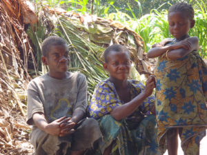 Okapi Wildlife Reserve in the Democratic Republic of Congo