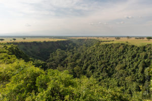 Safari in Murchison Falls and Queen Elizabeth National Park Uganda