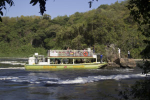 Six days safari in Murchison Falls and Queen Elizabeth National Park