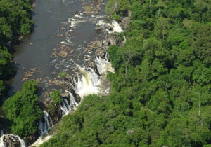 Touring Okapi Wildlife Reserve