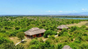 2 Days Queen Elizabeth National Park tour 