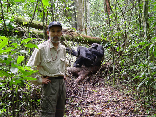 3 Days Chimpanzee Trekking Safari in Kibale Forest
