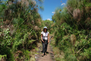 3 Days Kibale Chimpanzee Tracking Tour