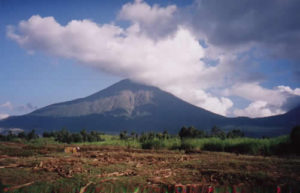 3 days mountain gorilla trekking in Mgahinga Gorilla National Park