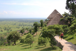 4 Days safari in Queen Elizabeth National Park Uganda