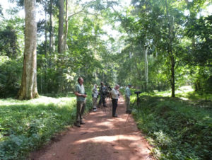 4 days tour of Murchison Falls Uganda