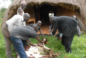 Cultural Tourism Uganda