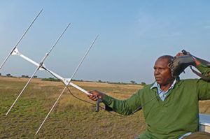 Lion tracking experiential activity in Queen Eizabeth National Park