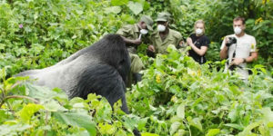 Packing List for tracking gorillas in Uganda and Rwanda