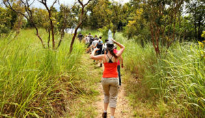 What to pack for your gorilla trekking tour