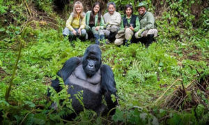 What to wear for gorilla trekking in Uganda and Rwanda