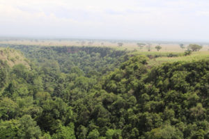 Chasing lions in Queen Elizabeth National Park