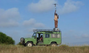 Lion Tracking in Queen Elizabeth National Park Uganda