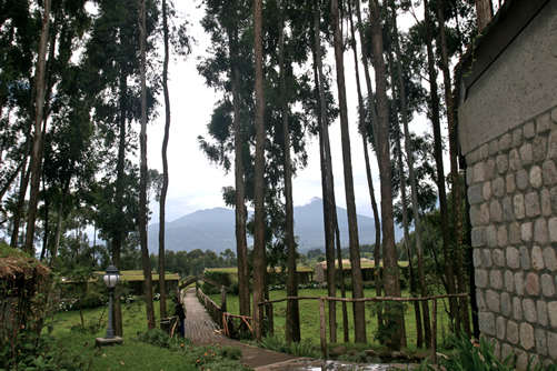 Accommodation while hiking mount bisoke