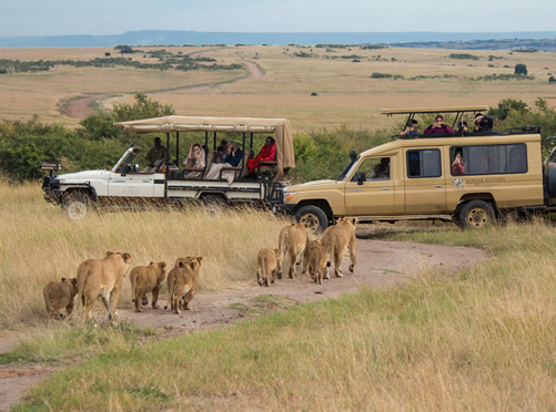 7 Days Gorilla Tour and Masai Mara Safari