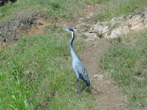 Top things to do in Musanze 