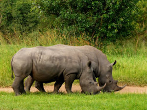 Tourist attractions Uganda