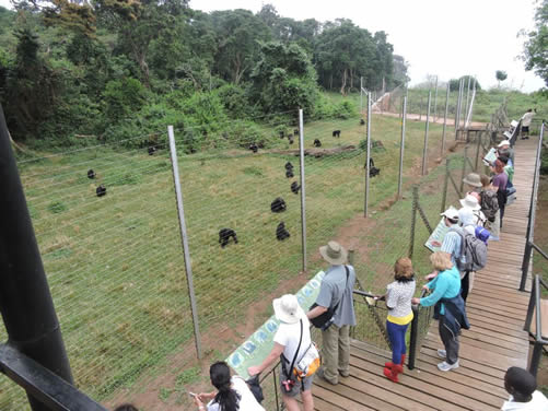 Things to do and see in Uganda