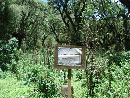 Dian Fossey Tomb