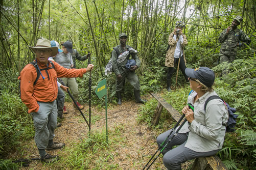 Gorilla Tracking in Volcanoes National Park