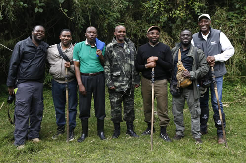 Gorilla trekking in Volcanoes National Park