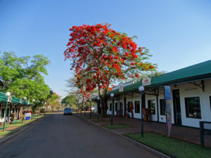 Best time to visit Victoria falls