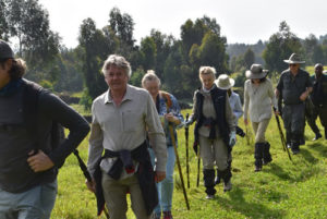 Best time for gorilla trekking in Congo