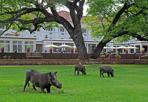 Accommodation at the Victoria Falls
