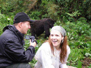 Likelihood of seeing gorillas