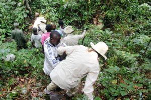 Testimonials about gorilla trekking in Uganda, Rwanda and Congo