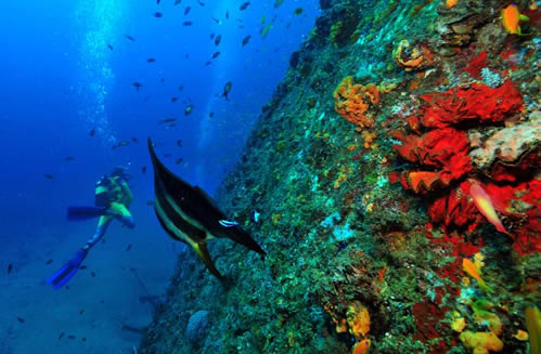 Activities in Mombasa