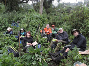 gorilla trekking experience in Congo