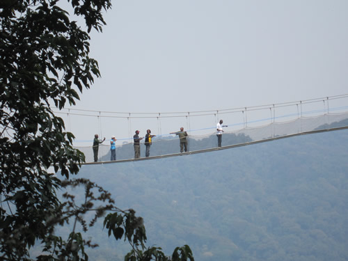 2 Days Nyungwe Forest safari – Canopy Walk, Igishigishigi trail and Chimpanzees