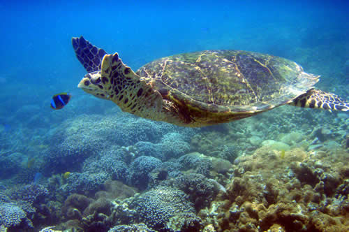 Dar es Salaam Tourist Attractions