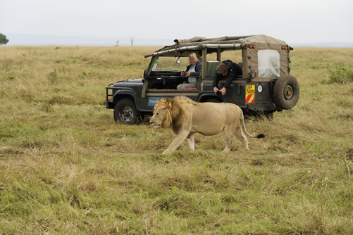 east-africa-tourist-visa-cost-price-application-fees-in-rwanda-uganda