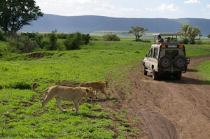 3 Days Ngorongoro Crater Safari