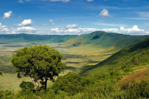 3 Days Safari in Serengeti and Ngorongoro Crater Tanzania 