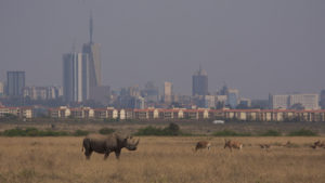 Best attractions in Nairobi Kenya