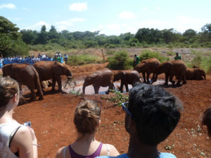 Fun Places to visit in Nairobi Kenya